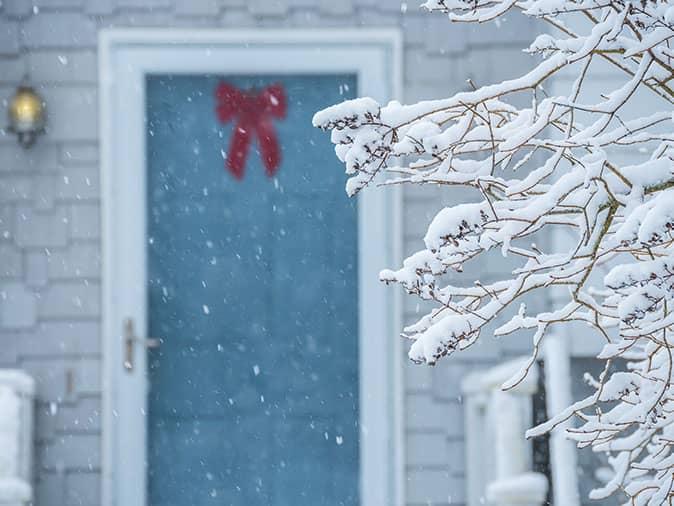 are bed bugs affected by maine's cold winters