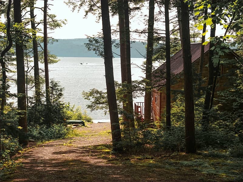 maine camp on a lake infested by pests