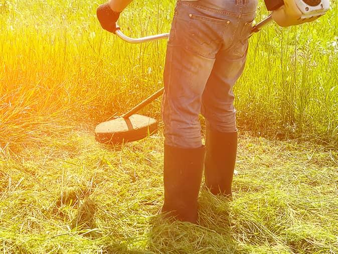 maine man weed whacking near wasp nest in ground