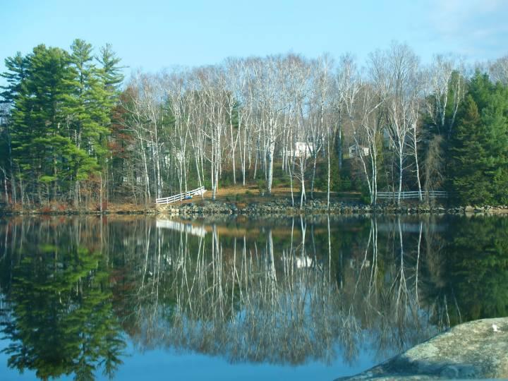 Lake reflections