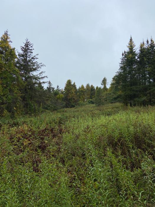 Cabbage Hill Preserve Connecticut Trail Finder