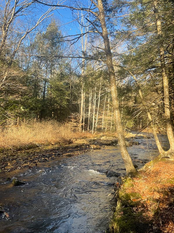 Upper Bantam River Preserve Connecticut Trail Finder