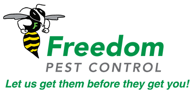 Pest Control Southend