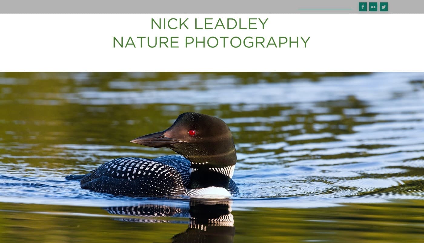 Nick Leadley Nature Photography website screenshot