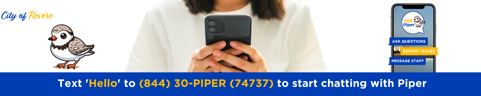 Chat With Piper Ai Assistant