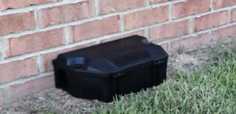 Bait Box