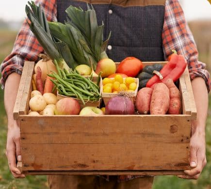 Crate of Vegetables