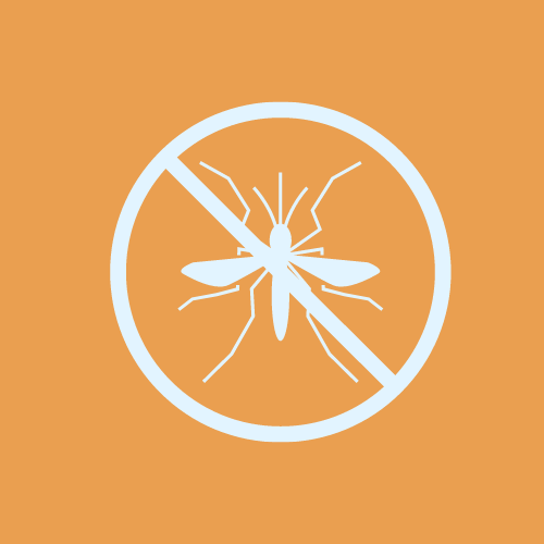 Mosquito