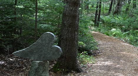 hiking trails in acadia national park