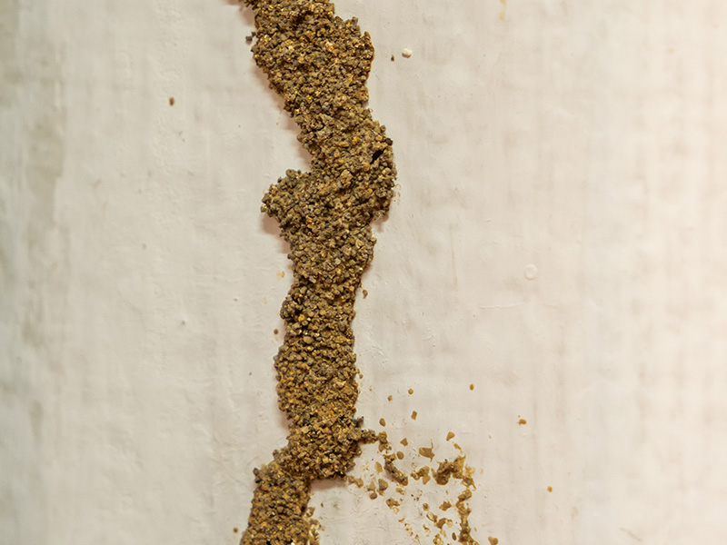 termite mud tubes found during inspection at tucson home