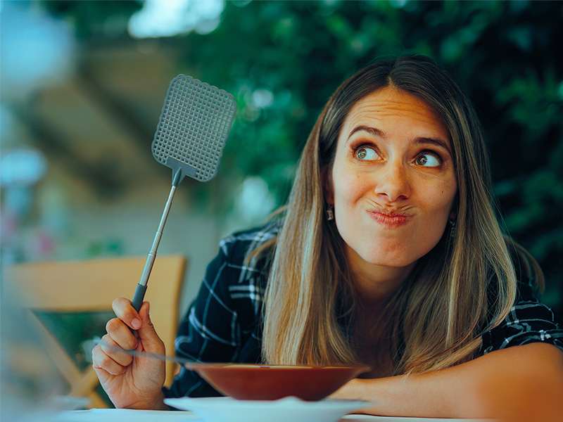 homeowner battling june pests in phoenix