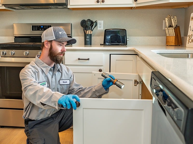 technician inspecting under kitchen sin