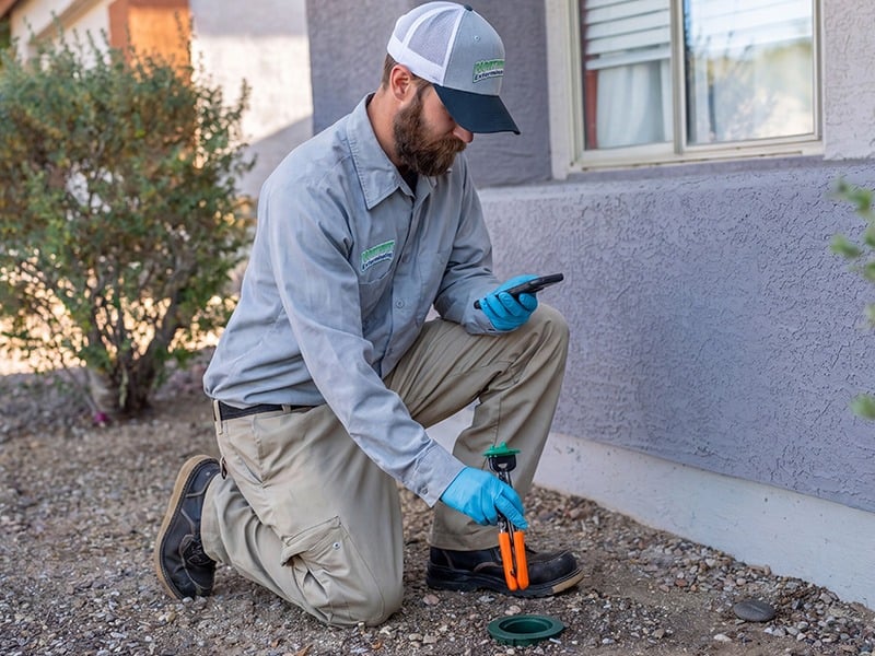 pest tech checking for termites