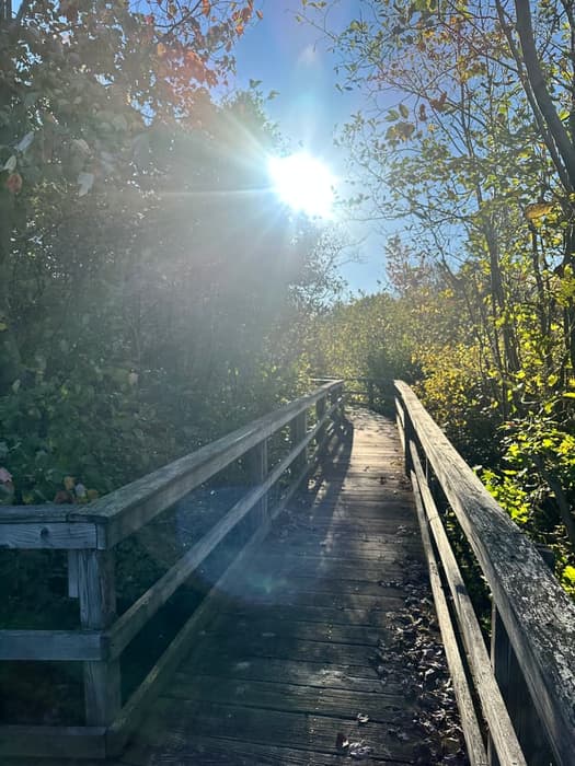 Boardwalk to Marsh Overlook (Credit: Sarah Reynolds)