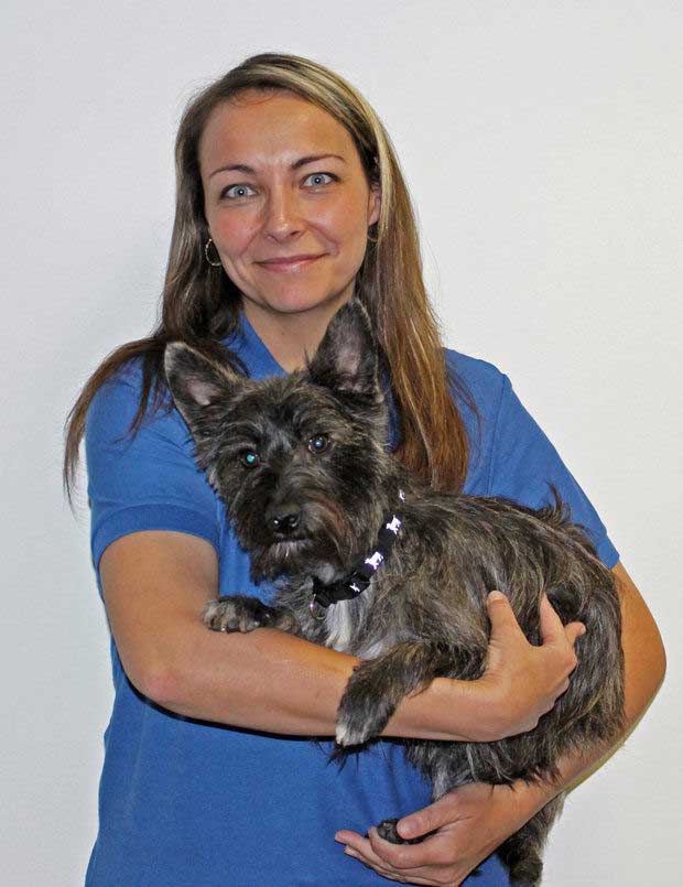 Jayna and Kramer bed bug canine team Jayna and Kramer bed bug canine team