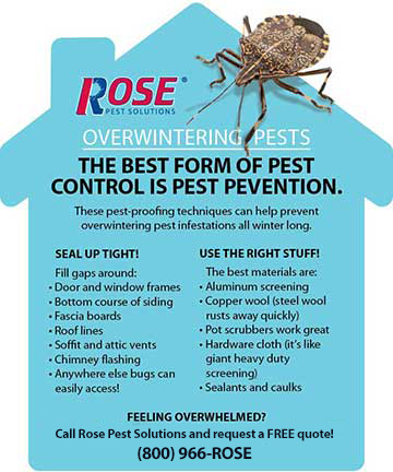 Rose Pest Solutions Overwintering Pest Prevention Overwintering Pest Prevention