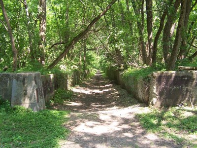 Trail on Sylvan Island.
