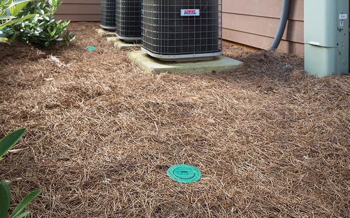 sentricon bait station behind house in south carolina