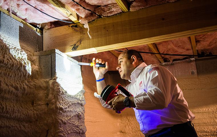 aiken tech inspecting crawl space in home