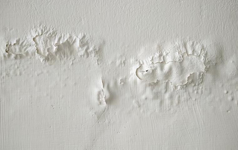 musty odor and water damage in a home