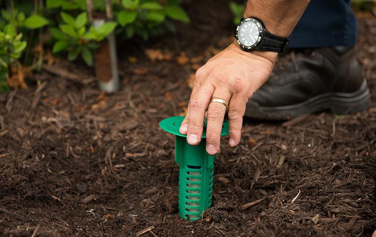 sentricon bait station installation in yard