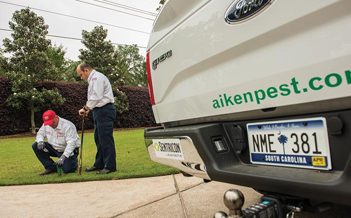 aiken termite control services