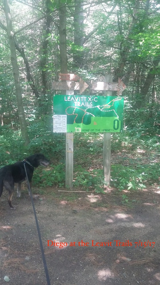 Leavitt Area High School Maine Trail Finder