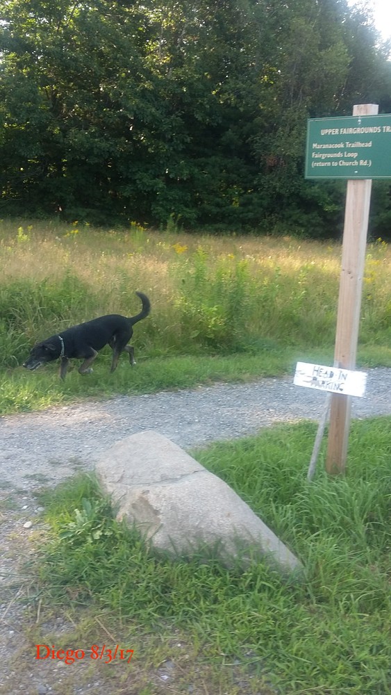 Readfield Fairgrounds Maine Trail Finder