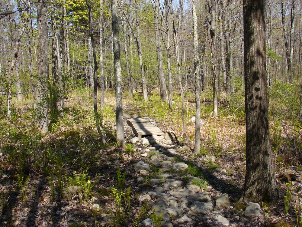 Blackstrap Community Forest Maine Trail Finder