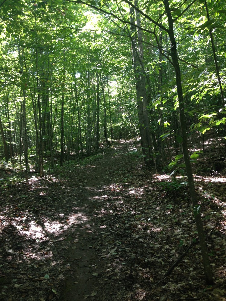 Blackstrap Community Forest Maine Trail Finder
