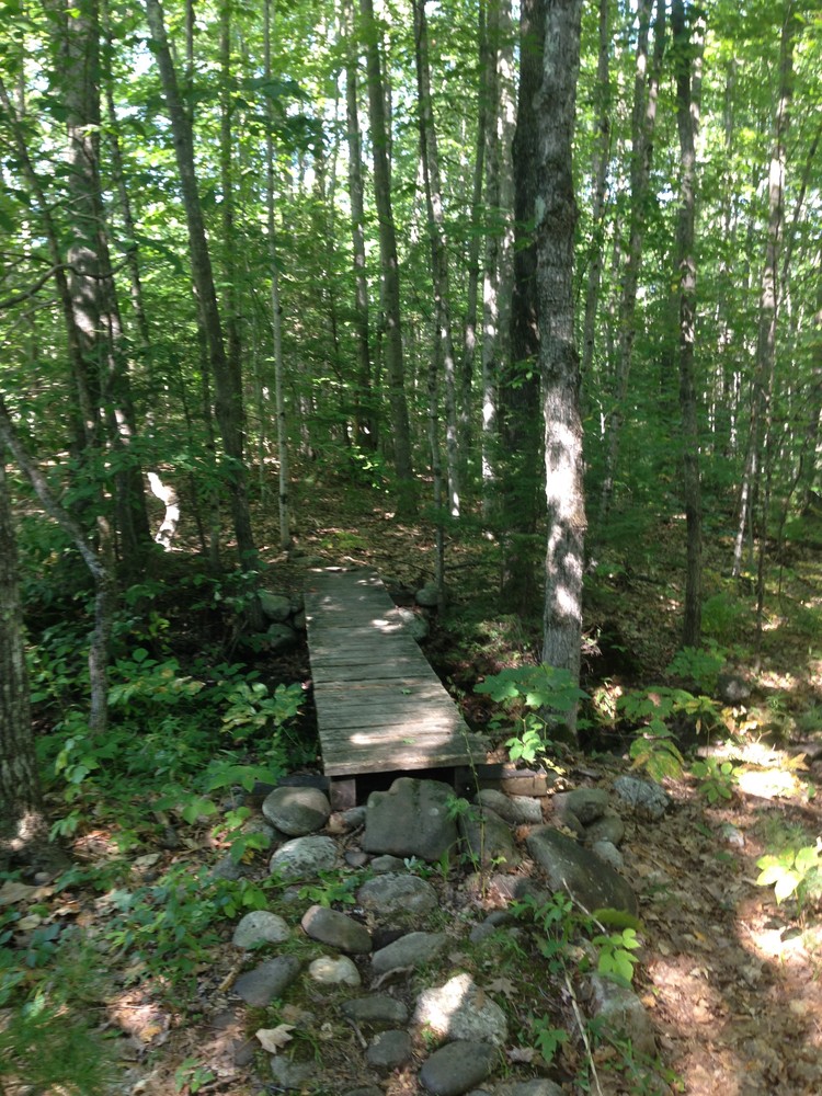 Blackstrap Community Forest Maine Trail Finder