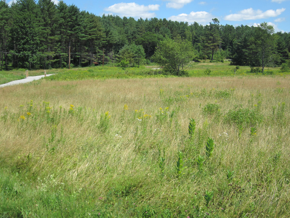 Bethel Pathway Maine Trail Finder