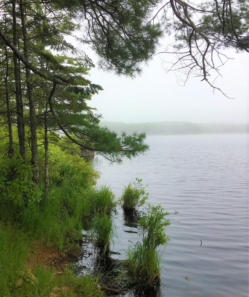 Kingdom Woods Conservation Area Maine Trail Finder