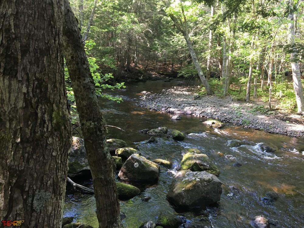 Palermo Preserve Maine Trail Finder