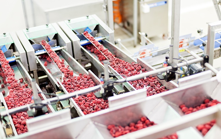 interior of a food processing plant