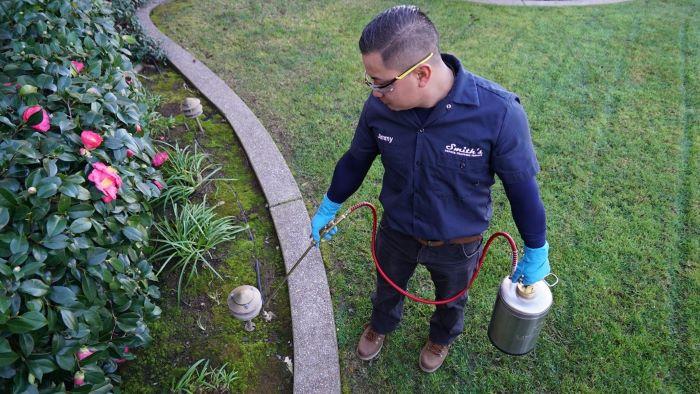 9 Best Pest Control Companies In The San Francisco Bay Area Of 2021