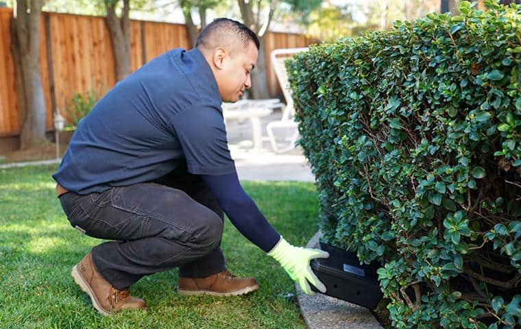 Learn More About Smith's Rodent Control For Rats & Mice bay area rodent control specialist installing rodent station