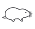 gopher control icon
