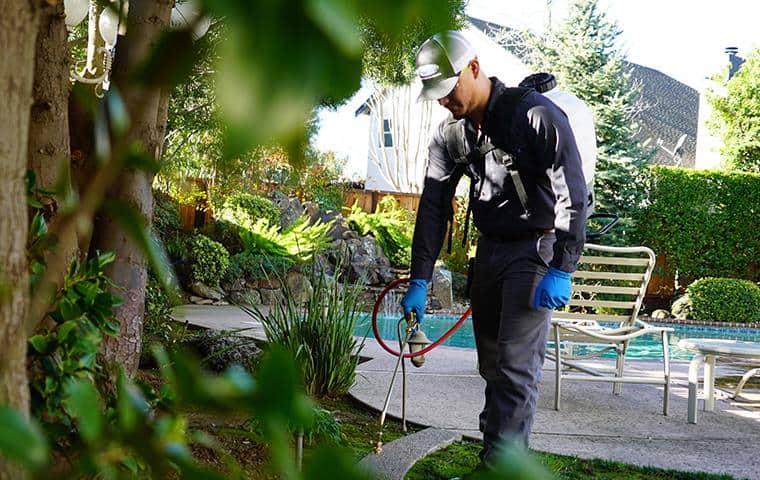 Green Pest Control Services For Homes & Businesses san francisco pest control tech treating yard with eco-friendly treatment
