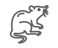 rat control icon