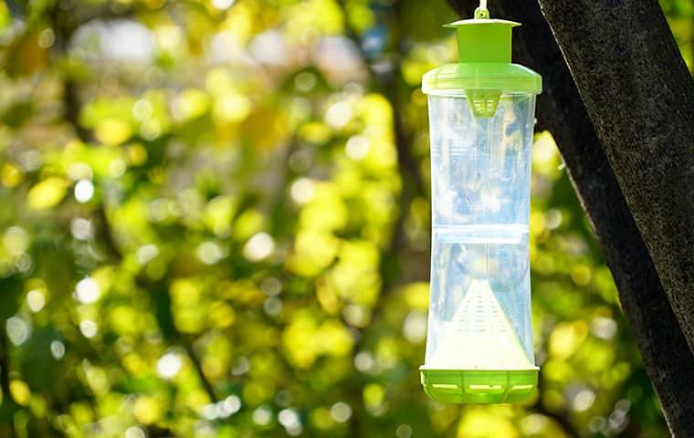 Smith's Offers A Variety Of Services In San Francisco Bay Area smiths gopher trapping service trap for stinging insects in a tree