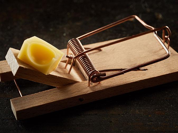 Learn More About What The Best Methods Are For Controlling Mice & Rats mouse trap under kitchen sink in new jersey home
