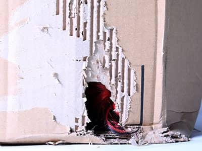Learn More About The Signs Of Rodent Damage In New Jersey Home hole in cardboard box evidence of mouse problem