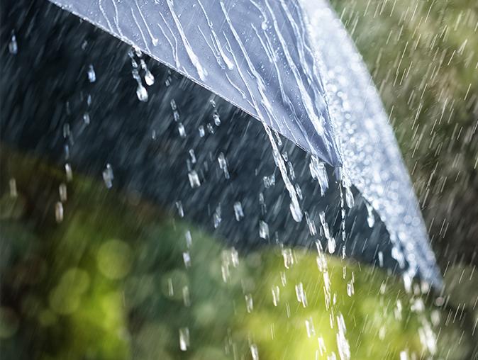 Rain & Chilly Weather And Their Affect On NJ Pests rain on an umbrella