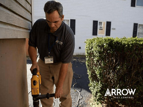 How To Treat For Termites In New Jersey termite pest control service outside a new jersey home