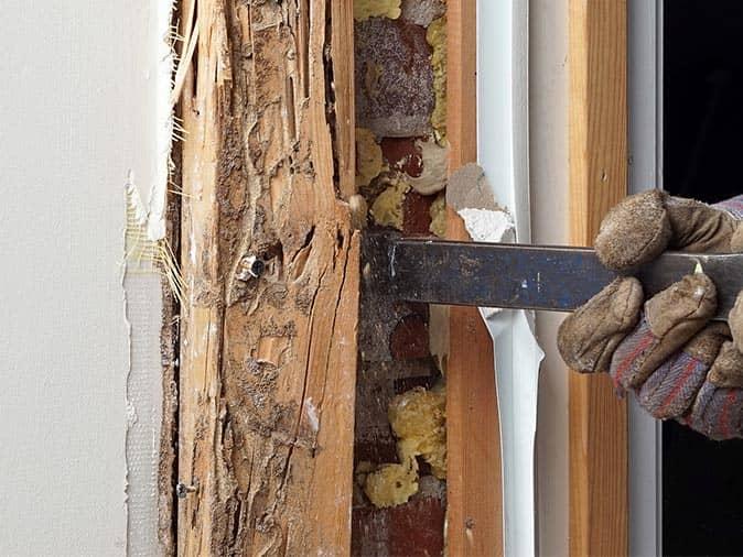 Learn More About Common Signs Of Termite Infestations In Your NJ Home termite destroyed door frame inside a new jersey home