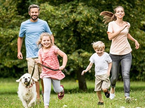 new jersey family exposed to tick bites and lyme disease