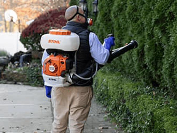 What's The Best Time Of Year To Treat For Ticks And Mosquitoes In New Jersey mosquito and tick yard treatment in bergen county nj