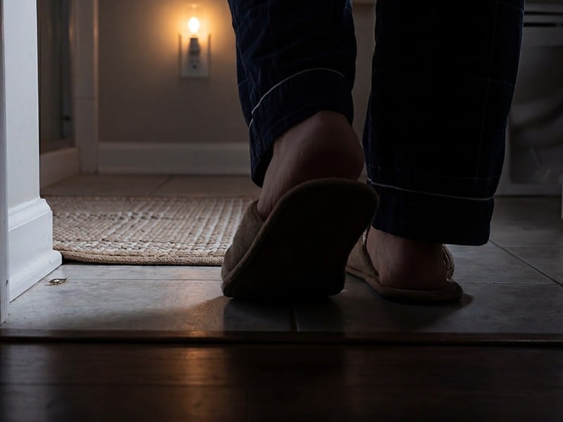 silverfish on bathroom floor