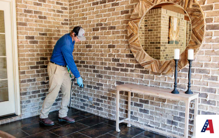 All American Pest Control termite control near me.jpg